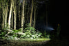 OLIGHT ARKFLEX