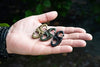 Mini Hook