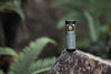 OLIGHT BATON 4（Fighter Pilot）