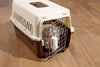 SwitchBot Contact Sensor - Window & Door Alarm Sensor- White