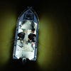 LED Strip Light 12v Waterproof 5m Roll