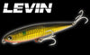 Levin
